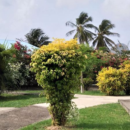 Appartement Rosbambou Les Pieds Dans L Eau Le Diamant Exterior foto